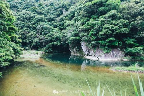 夏天的春天