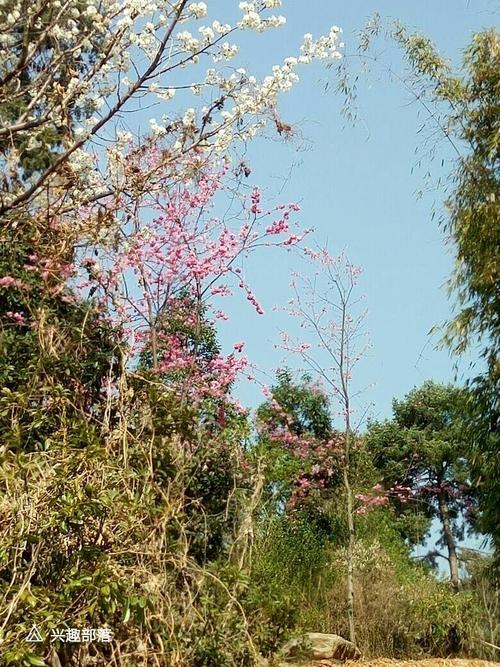 很高兴出去