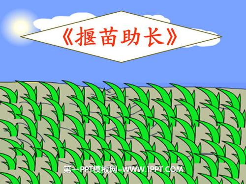 关于阅读《吹苗助长》的思考