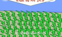 《揠苗助长》读后感