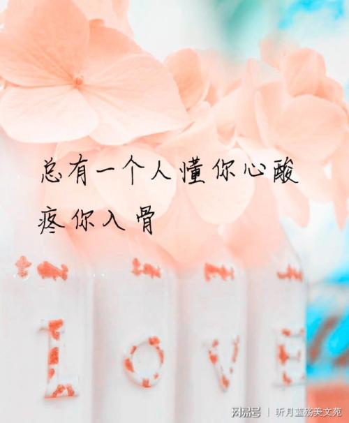 给我一个了解你的机会