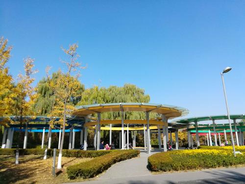 奥林匹克森林公园