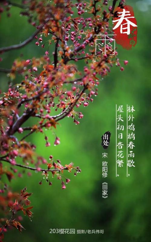 春雨春诗