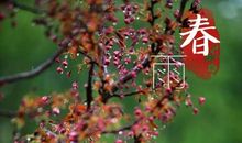 春天的雨春天的诗