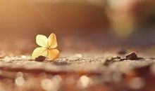 倾听别离的声音