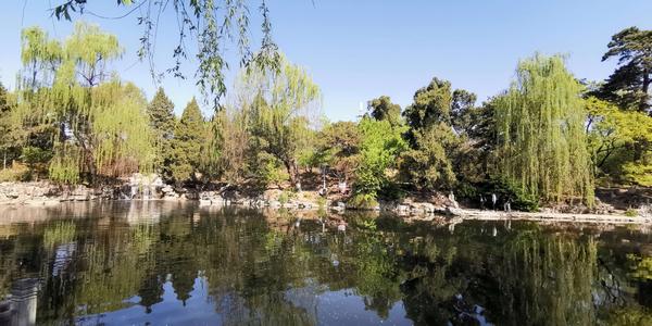 故乡的池塘风景