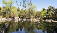 家乡的塘边风景