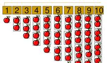 单数和双数在打仗