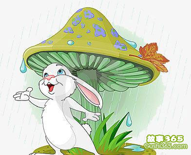 那把伞在我眼前