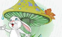 那把伞进入了我的视线