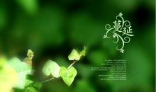 我诗意的初中生活