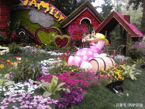 美丽的大运河森林公园