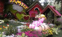 美丽的大运河森林公园