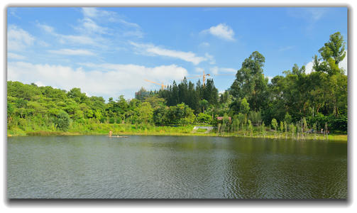 美丽的金山植物园