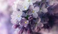 给予，是一种快乐