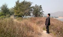 远方，我知道你不会等我