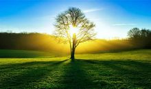 遇到更好的自己