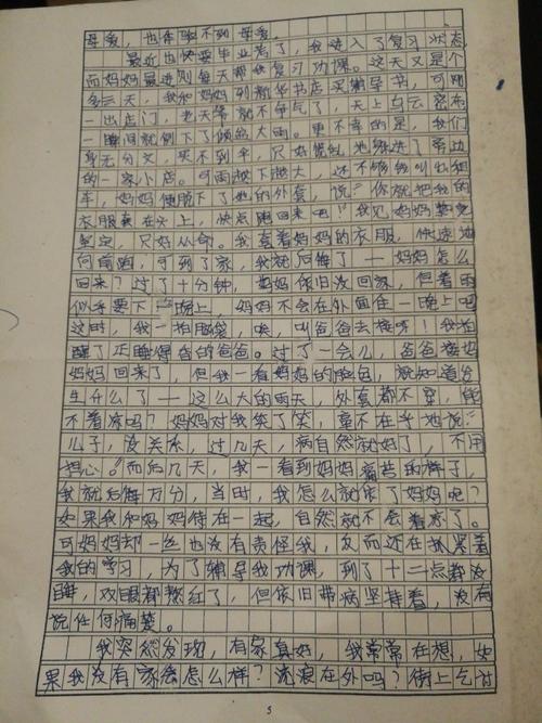 五年级作文他____