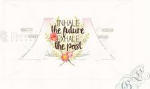 这个故事让我学会了呵护