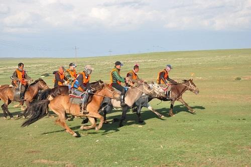 如何承受蒙汉之间的深情