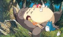 我发现了龙猫的秘密