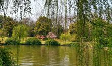 天井湖公园的四季