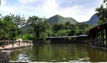 山叶口的美丽风景