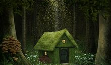 神秘的“小房子”