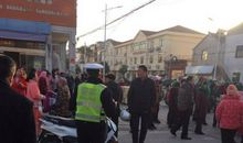 那永远在回家路上的莱西