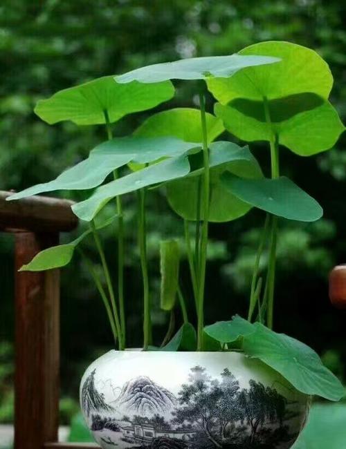 春雨之歌