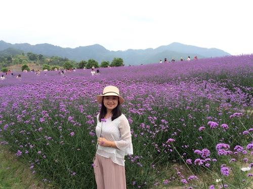 让援助之花遍布世界