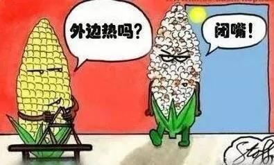 这个故事使我明白仁慈与吞咽无关