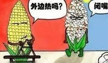 这个故事让我明白了善良不是忍气吞声