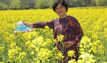 春游——八卦田