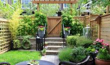 繁花进入了我的视线