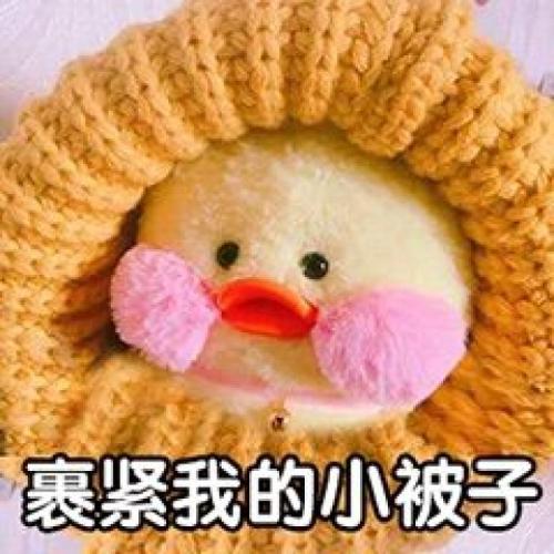 我的小被子