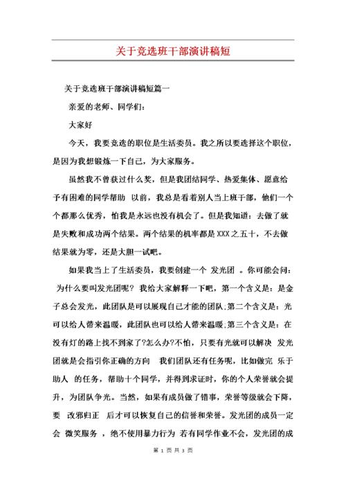 选举干部讲话300字