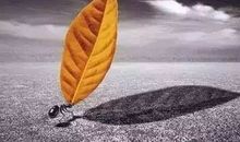 这个故事让我懂得遇到困难不能轻言放弃