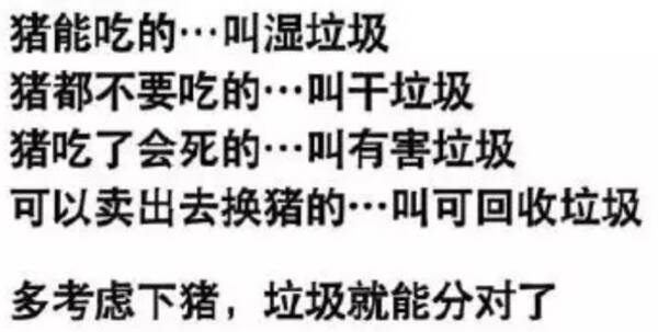 垃圾的自我介绍