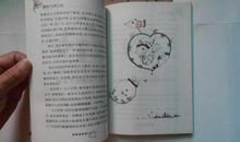 绿拇指男孩读后感