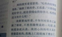 我有一个心愿作文400字