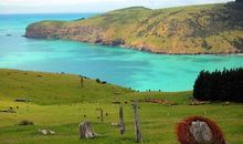 不要让“美丽”消失