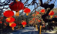 我的春节收获多