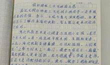 假如给我三天光明读后感100字