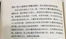 手心里的女孩读后感