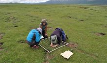 走近绿色走进中国梦