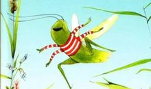 我和蚂蚁的一个约定