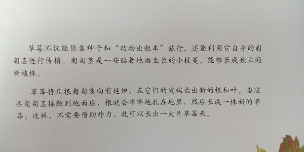 种子的启示