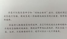 一颗种子的启示