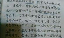 我爱秋季作文700字